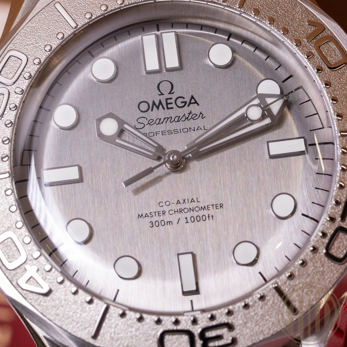 Seamaster Diver 300m Stainless-Steel | Co-Axial | Box and Papers | 2025