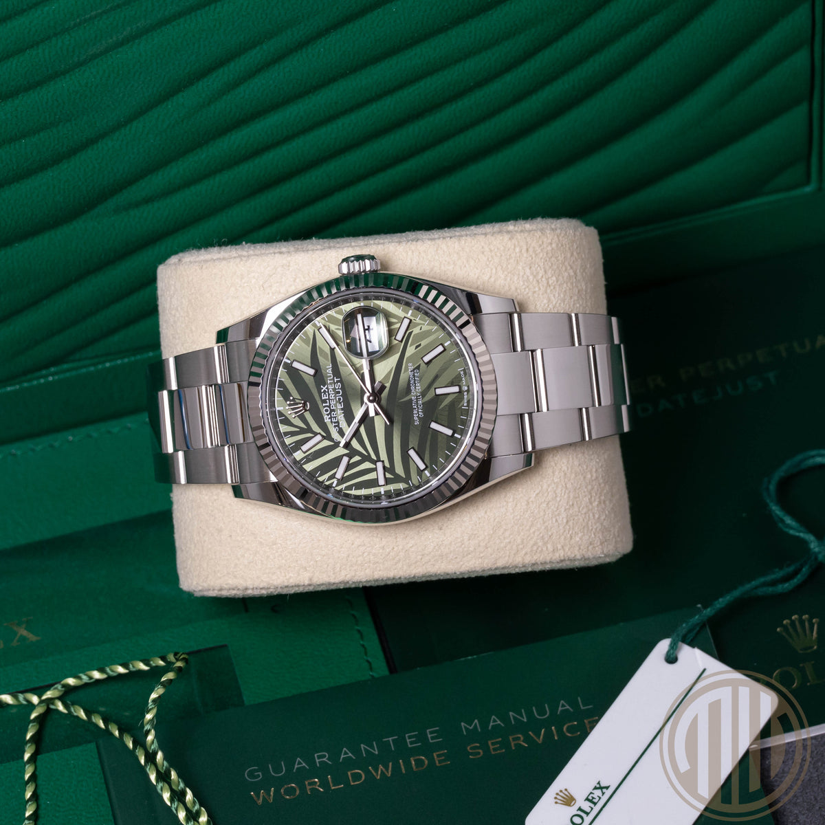 Rolex Datejust 36 Palm Motiv Dial | Whitegold Bezel | Box and Papers | 2023